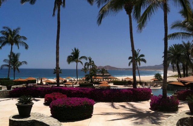 Cabo Real Contemporary 3 BR BA Condo with Golf