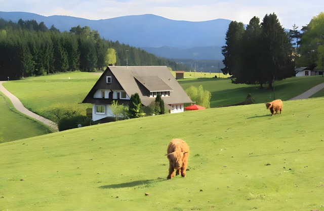 Café Pension Pfaus - 1 Ferienwohnung (4 pax), 3 Doppelzimmer und 1 Dreibettzimmer