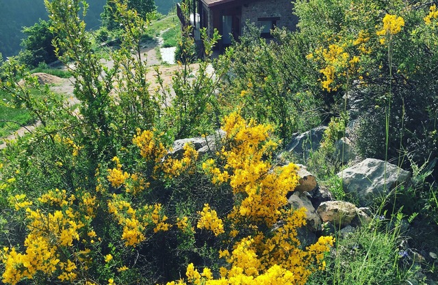 Cal Baridà