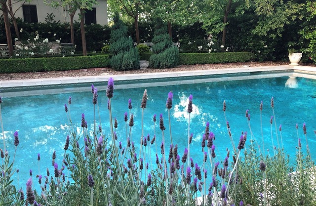 California Sol Historic Private Home w/Pool