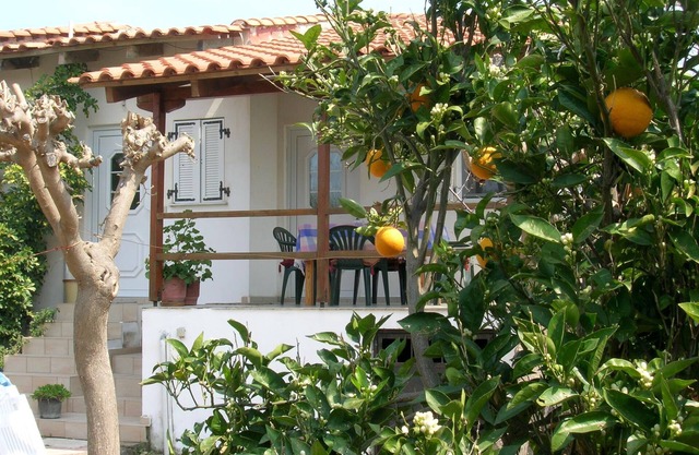 Ruhig gelegen, inmitten eines Olivenhains, nah zum Strand, Wifi | Ferienhaus Ili