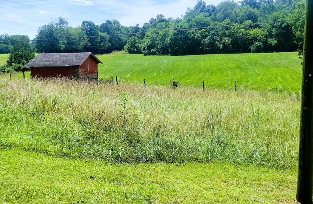 Camp Creek Cottage 3br, 2ba w Outdoor Tent & Grill