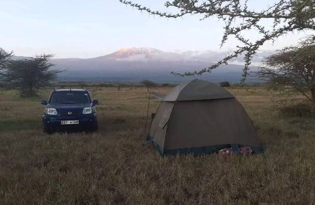 Camp David Amboseli