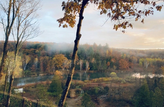 2 Bed Cabin 20 Acres Frontage on Big Manistee River! Fish from private bank!