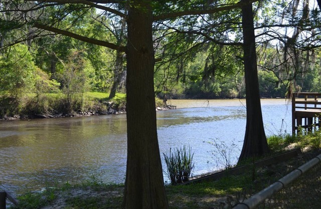 Camp auf Bayou Manchac