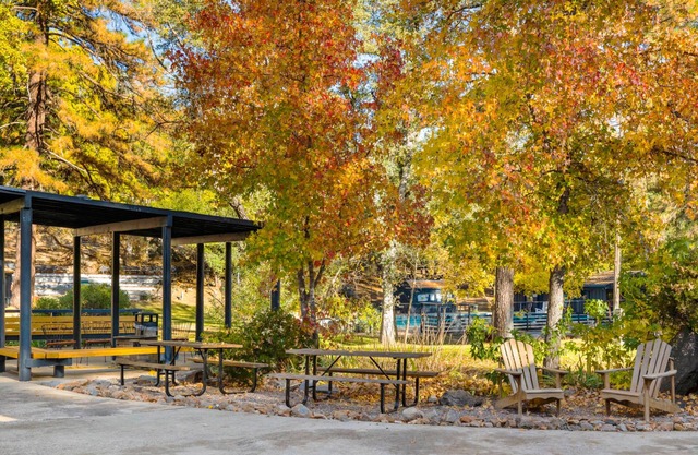 Camp Silver Spur
