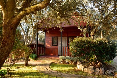 Camping Alquézar