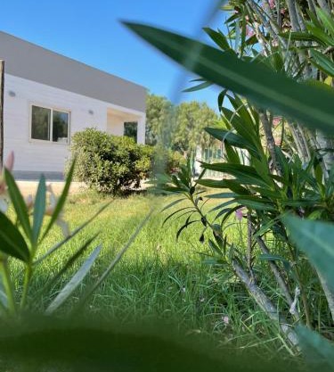 Camping Carratois