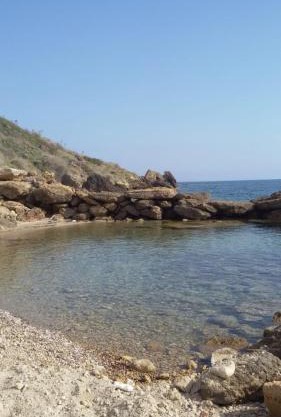 Camping Dell'Uva