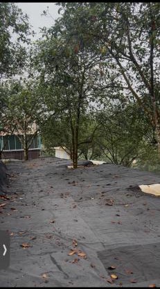 Camping ground at Maju farm house