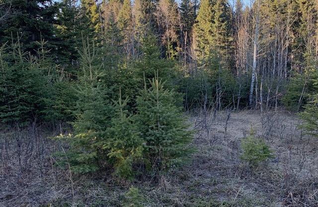 Camping on private land