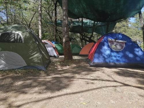 Camping Paradise Point