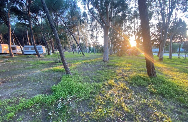 Camping surrounded by nature within walking distance from the sea