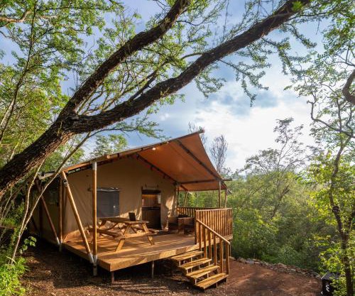 Campizo Glamping - Monterrey X NANTLI LIVING