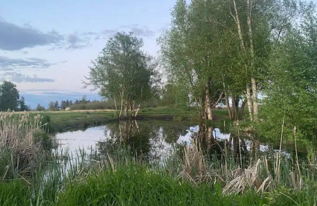 1 Cottonwood pond campsite on June Bud Farms