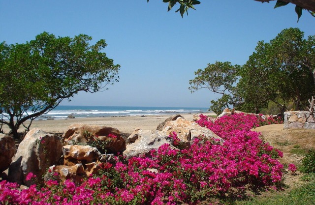 Cangrejo y Toro Luxury Oceanfront Villa Privacy on Seven Acres