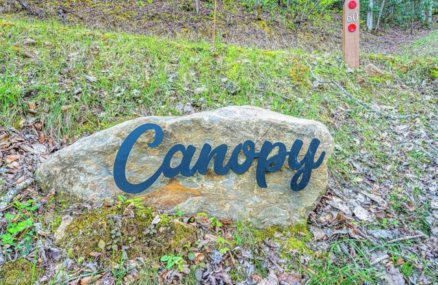 Canopy, Luxury Glamping Tent in the Western NC Tree Tops