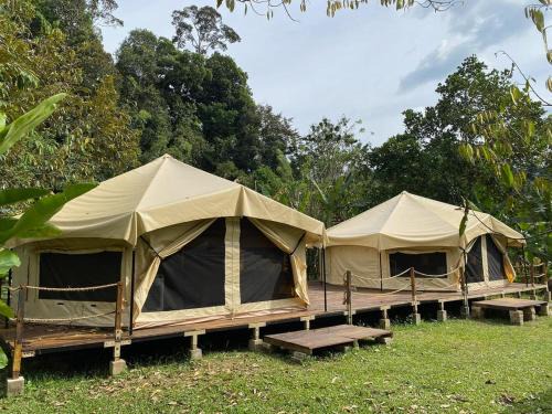 Canopy Villa Glamping Park