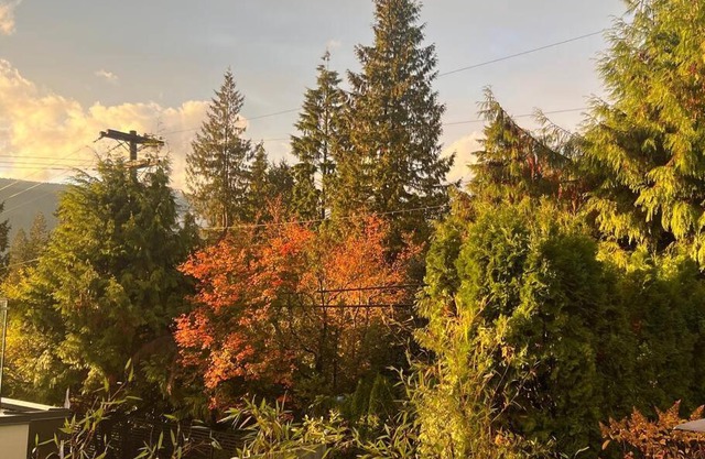'Canyon Heights' Retreat (Grouse Mountain)