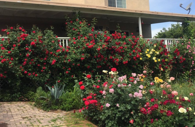 Canyon Lake. WOHNHAUS: Zwei Schlafzimmer, ein Bad
