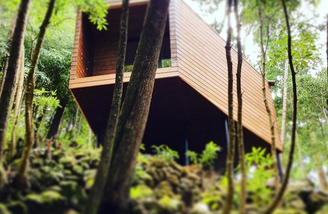 Caparica Azores Ecolodge