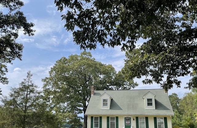 Cape Cod Cottage on Carthagena Creek just off the St. Mary's River with pier.