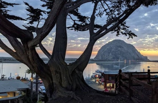 Captain's-SPECTACULAR bay/ocean views-980 sq ft - Dog Friendly!
