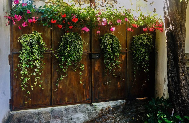 Care Pere: A Beauty Upon a Joyful Hill