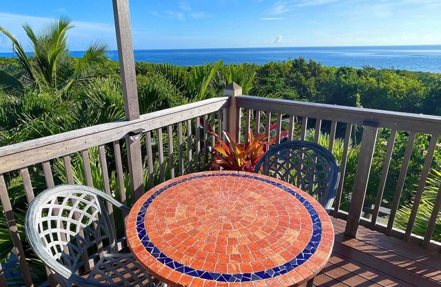 Caribbean and Atlantic Ocean Views / Near Twin Cove Beach / Garden Oasis Vibe.