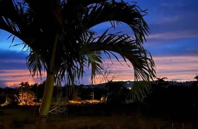 Caribbean dreams
