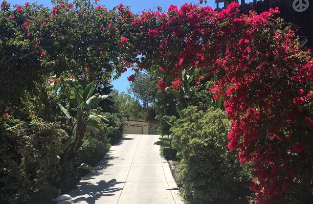 Carlsbad Beauty - Datenschutz, Nahe am Meer, Kurze Fahrt Del Mar Racetrack