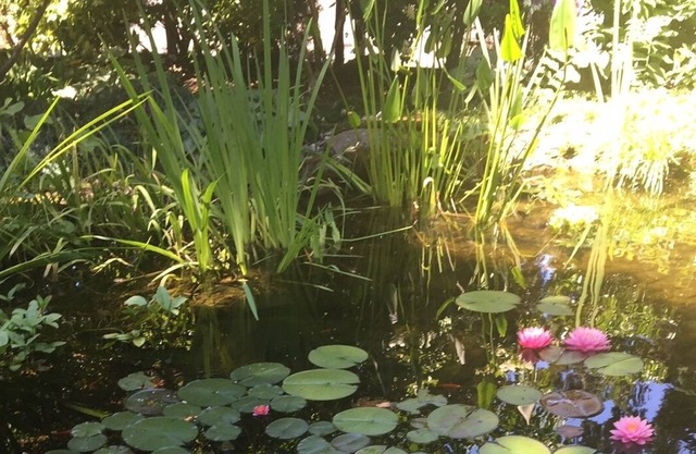 Carman Garden Bungalow
