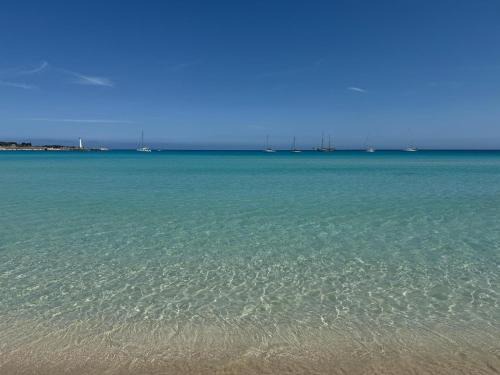 Carol's Sicily Dream