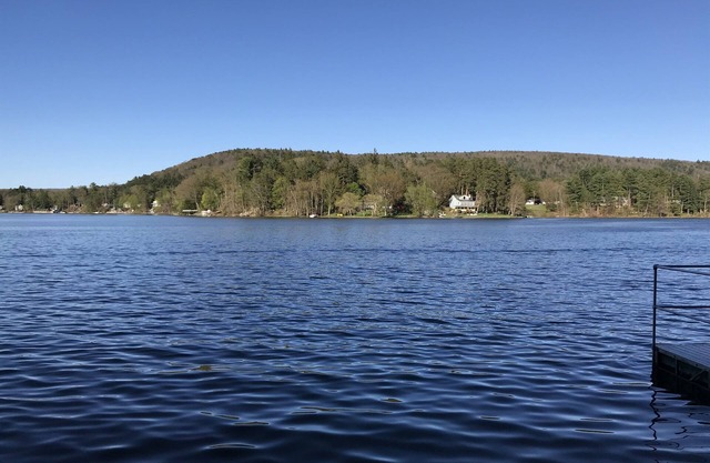 Carr's Cottage - Cozy Cottage w/ King bed on Goodyear Lake