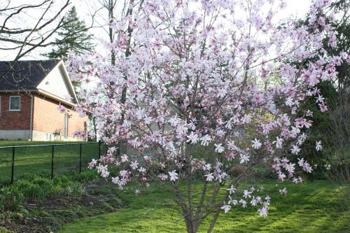 Carrousel Bed & Breakfast