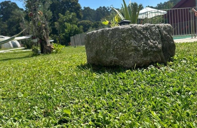 Carvalho Village - No Alojamento o Silencio Mistura-se com a Natureza