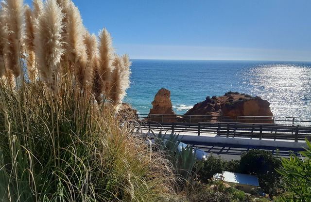 Carvoeiro Friendly Relaxing Family apartment, nice complex 1.5Km to town / beach