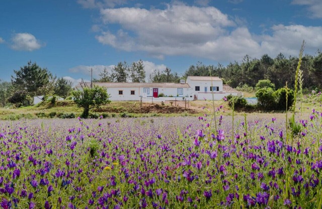 Casa Alfambras | Holiday Cottage in Aljezur