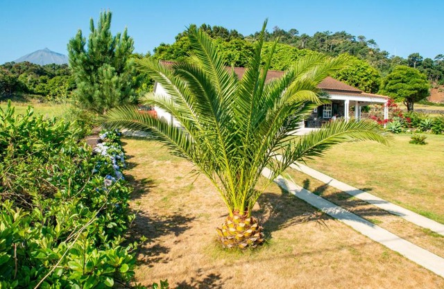 Casa Amaral