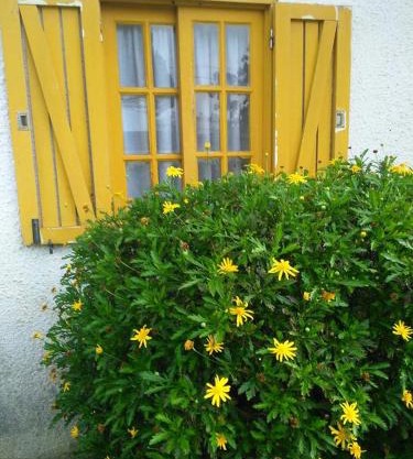 Casa Amarela