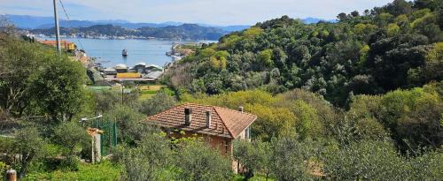 CASA AMELIA