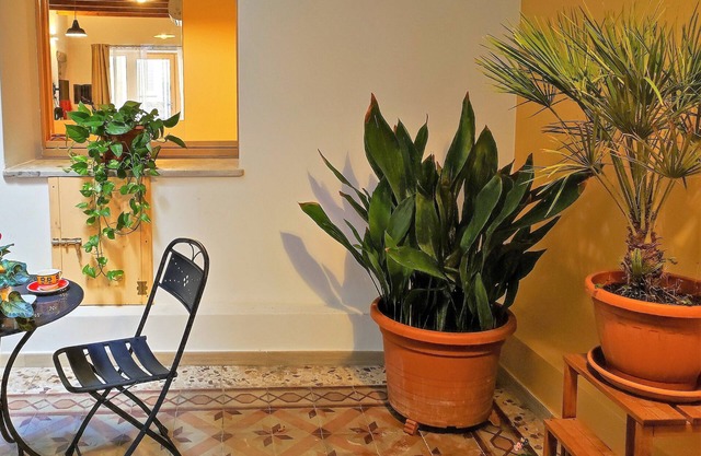 Casa Annetta - Apartment with private courtyard in the heart of Carloforte