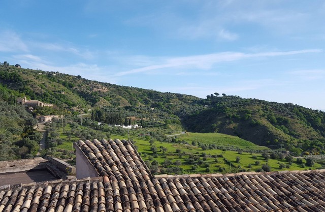 Casa Annunziata Badolato, Dorf, Meer und Olivenernte