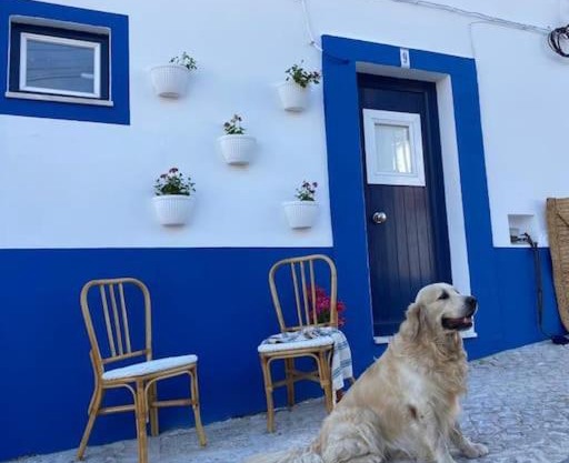 Casa Buganvilla