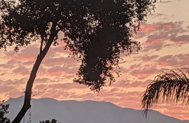 Immergrüne Lodge von Ojai w Gärten private großartige Lage.