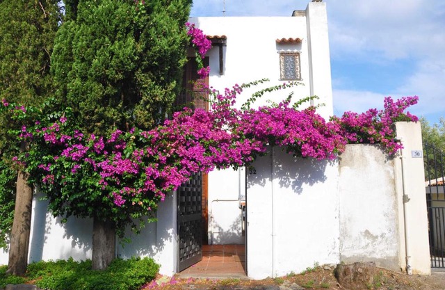 Casa Capiciana Punta Cirucco