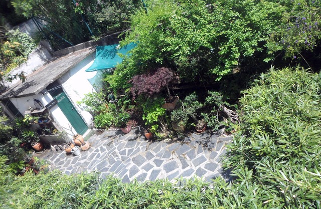 Casa Coimbra Guesthouse & Garden