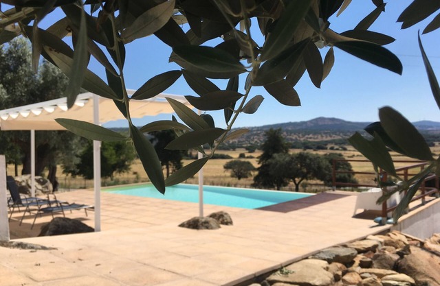 Casa Cordovil - Almojanda 3 Olive Tree