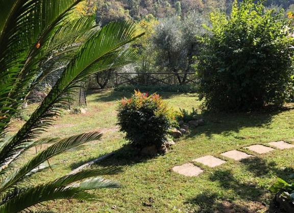 Casa Costanza