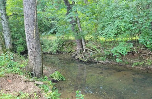 Casa Creek